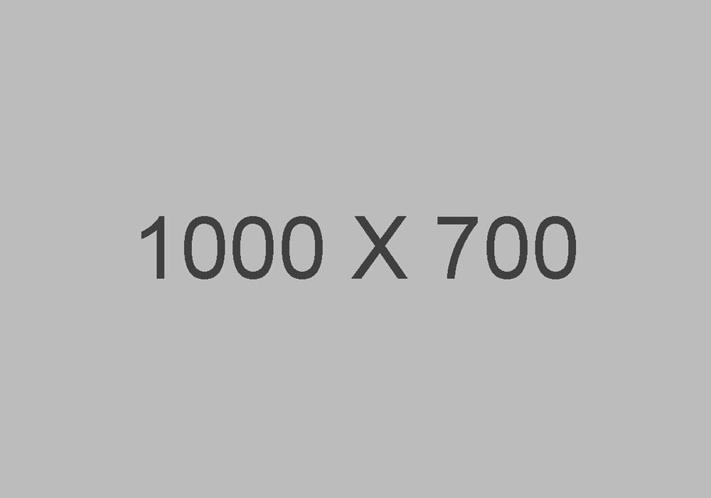Banner 2